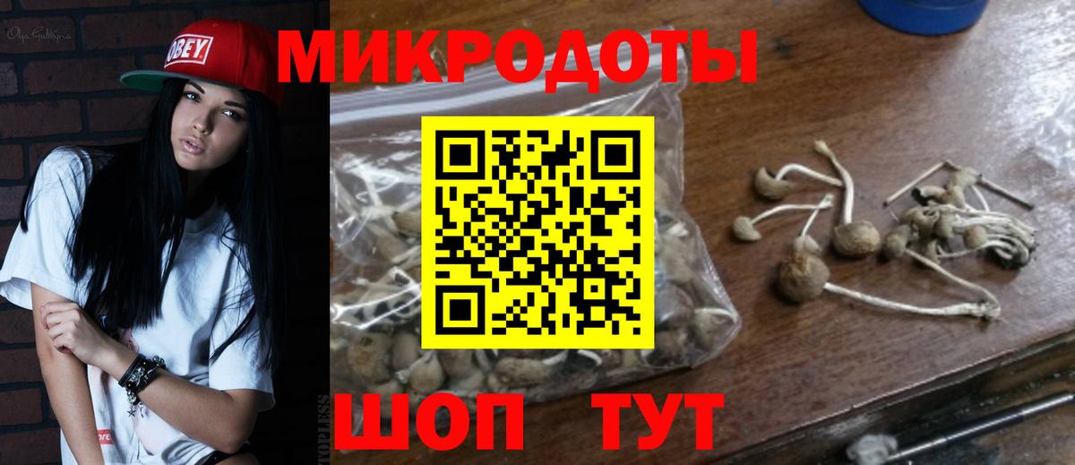Галлюциногенные грибы Psilocybine cubensis Солнечногорск