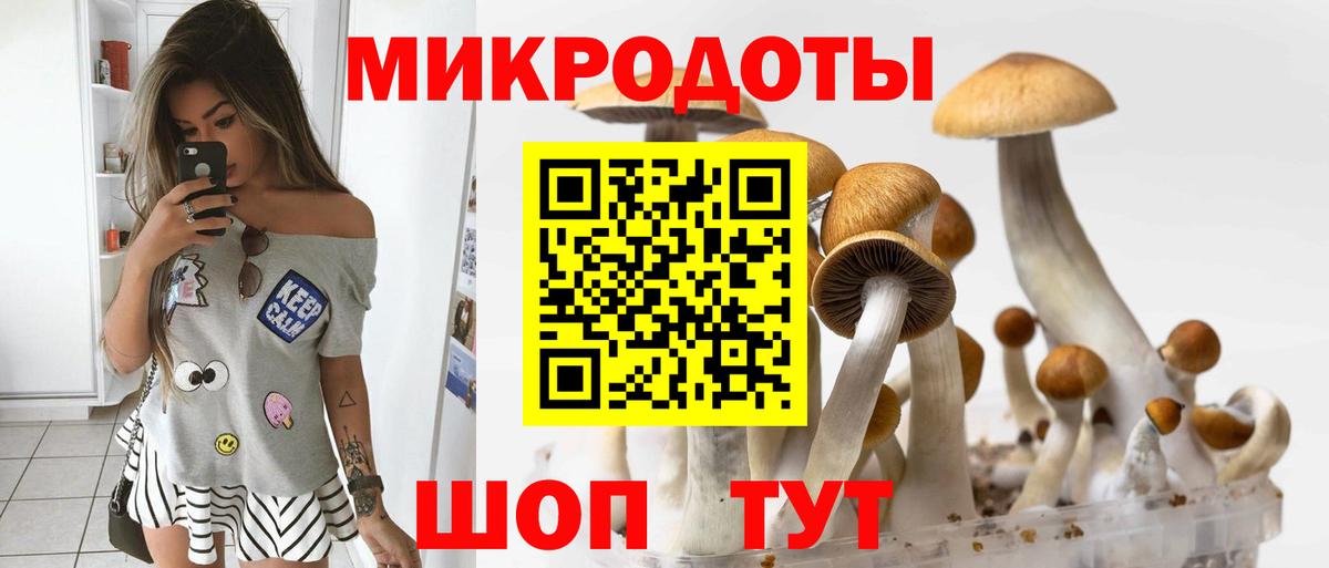 Солнечногорск  Псилоцибиновые грибы MAGIC MUSHROOMS  Вход с VPN 